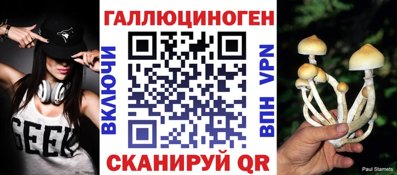 Псилоцибиновые грибы прущие грибы  Моршанск 