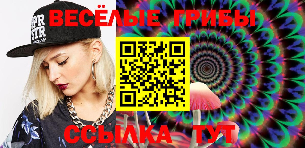 Галлюциногенные грибы Cubensis Моршанск